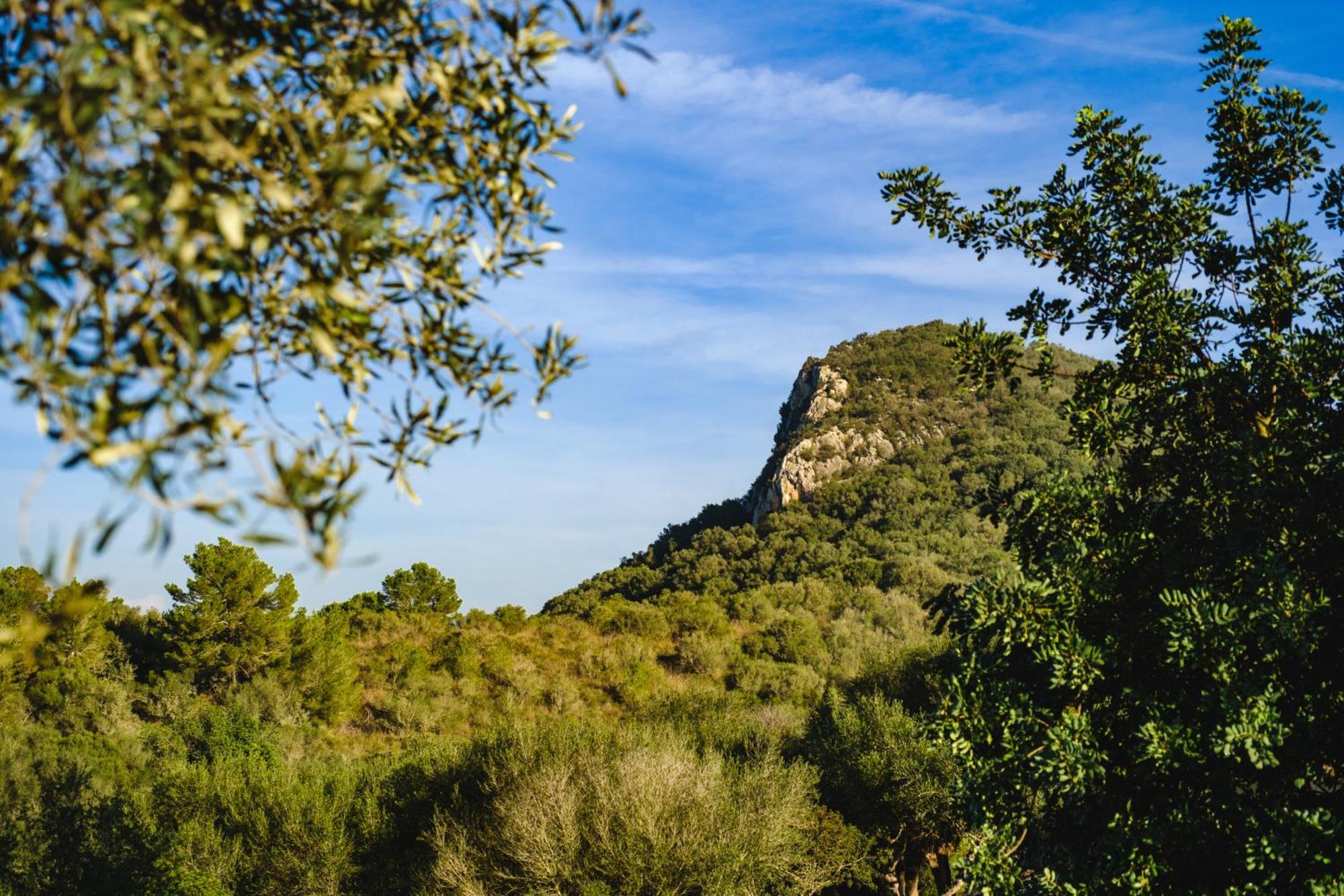 Finca Sa Bastida Luxury Retreat & Spa Adults Only Sant Joan Exterior foto